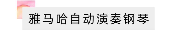 活动报道 | “科技助力，跨越时空”，小鹿纯子携手刘明康共享中日音乐盛宴